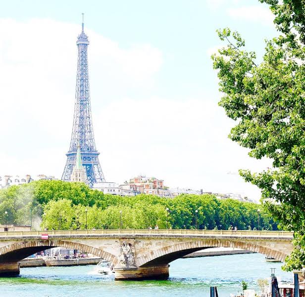 gorgeous eiffel tower in france