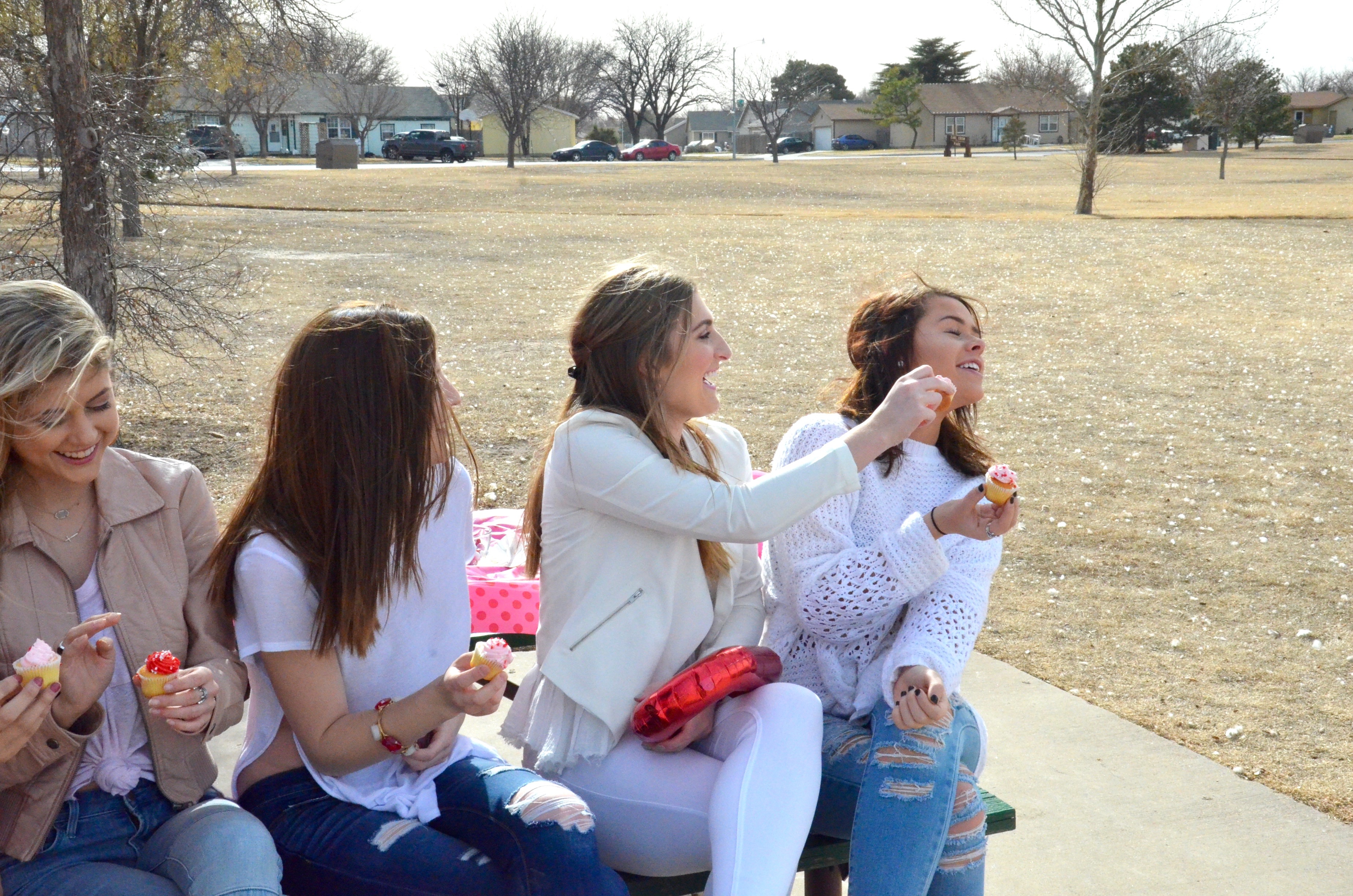 valentines day picnic outside