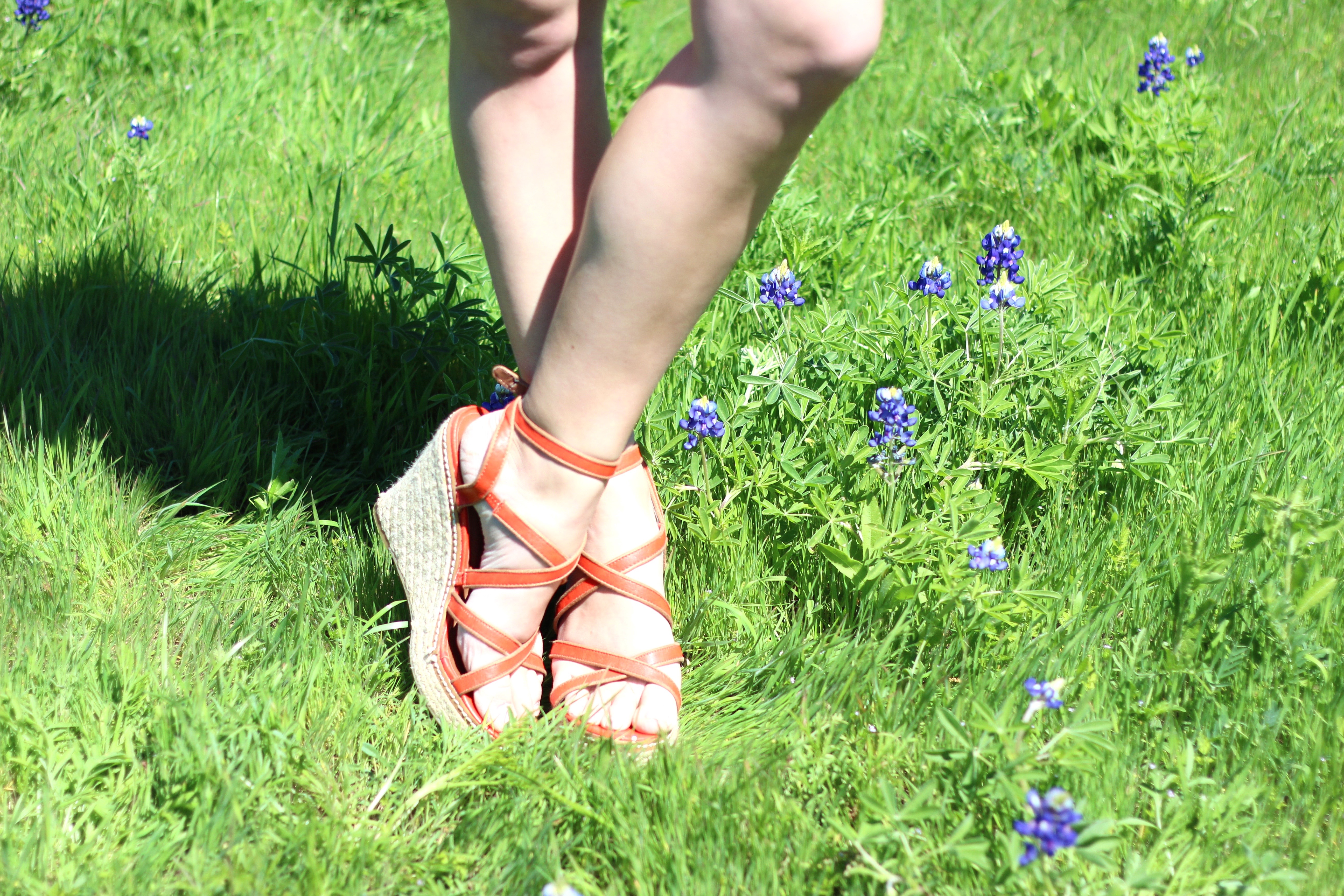 summer orange wedges