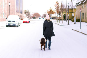 Snow Day | AMS Blog