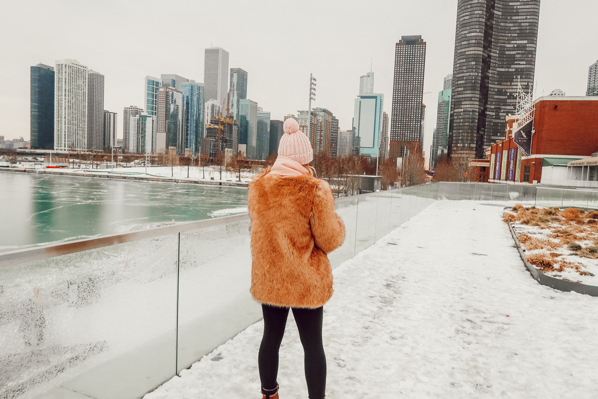 3 Fur Coats To Purchase this Winter | Audrey Madison Stowe a fashion and lifestyle blogger