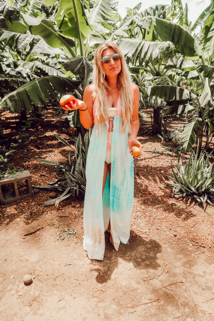 7 Days In Maui, Hawaii | Travel Guide | Audrey Madison Stowe a fashion and lifestyle blogger - 7 Days in Maui, Hawaii featured by popular Texas travel blogger, Audrey Madison Stowe