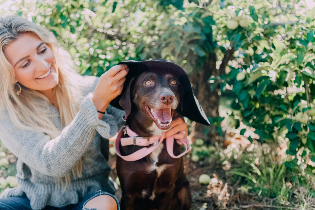 Apple Orchards With Steve Madden Outfit | #GenSteve| Family Day | featured by popular Texas fashion blogger Audrey Madison Stowe