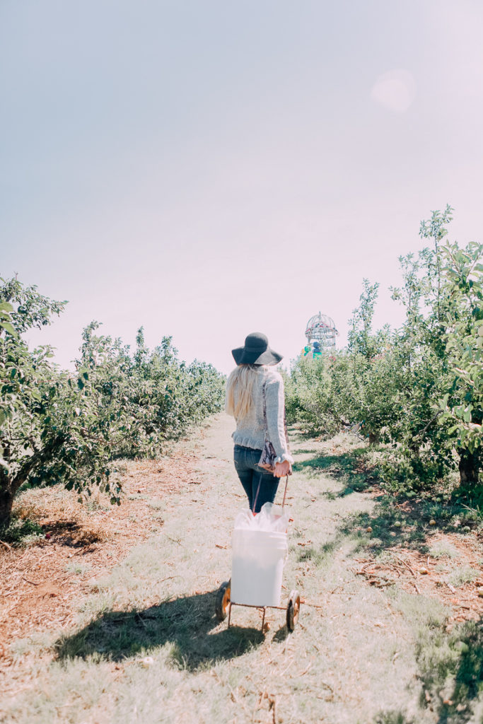 Apple Orchards With Steve Madden Outfit | #GenSteve| Family Day | featured by popular Texas fashion blogger Audrey Madison Stowe