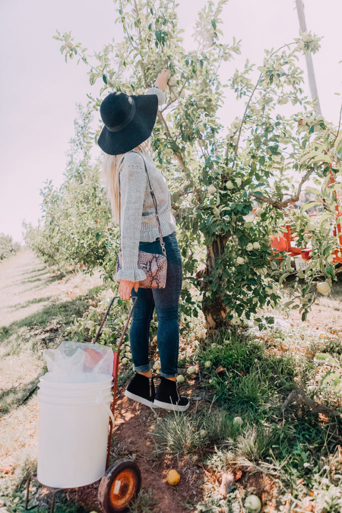 Apple Orchards With Steve Madden Outfit | #GenSteve| Family Day | featured by popular Texas fashion blogger Audrey Madison Stowe