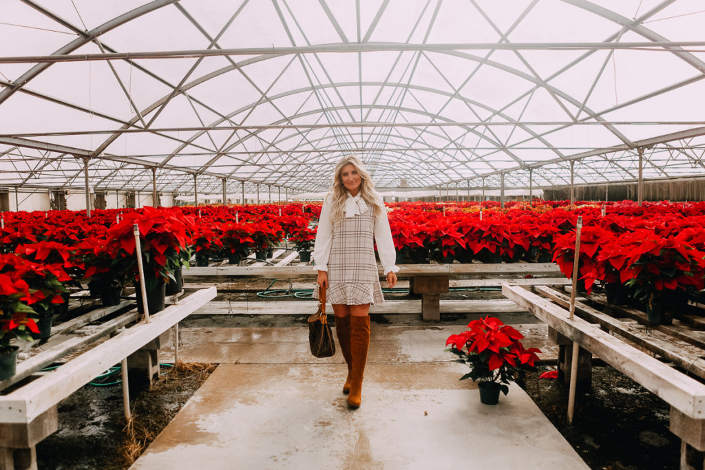 Chicwish Plaid Dress | Target | Nordstrom | The Best Christmas Party Dress featured by top Texas fashion blogger Audrey Madison Stowe