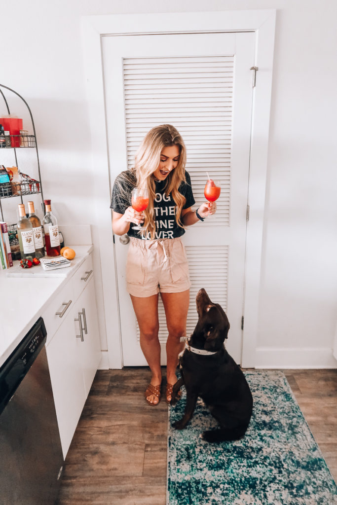 Boozy Frosè Recipe for National Wine Day | Audrey Madison Stowe a fashion and lifestyle blogger