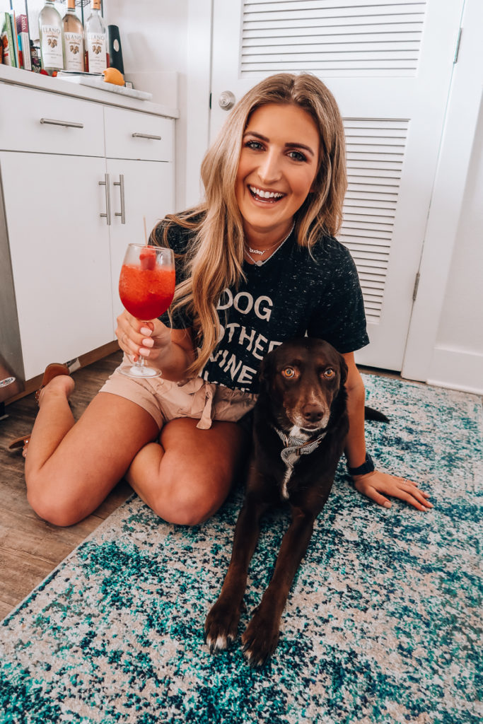 Boozy Frosè Recipe for National Wine Day | Audrey Madison Stowe a fashion and lifestyle blogger