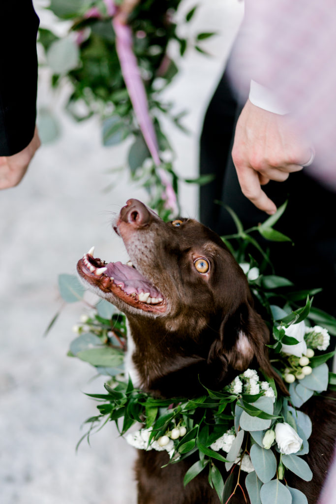 Our Winter Wedding Ceremony | Audrey Madison Stowe a fashion and lifestyle blogger