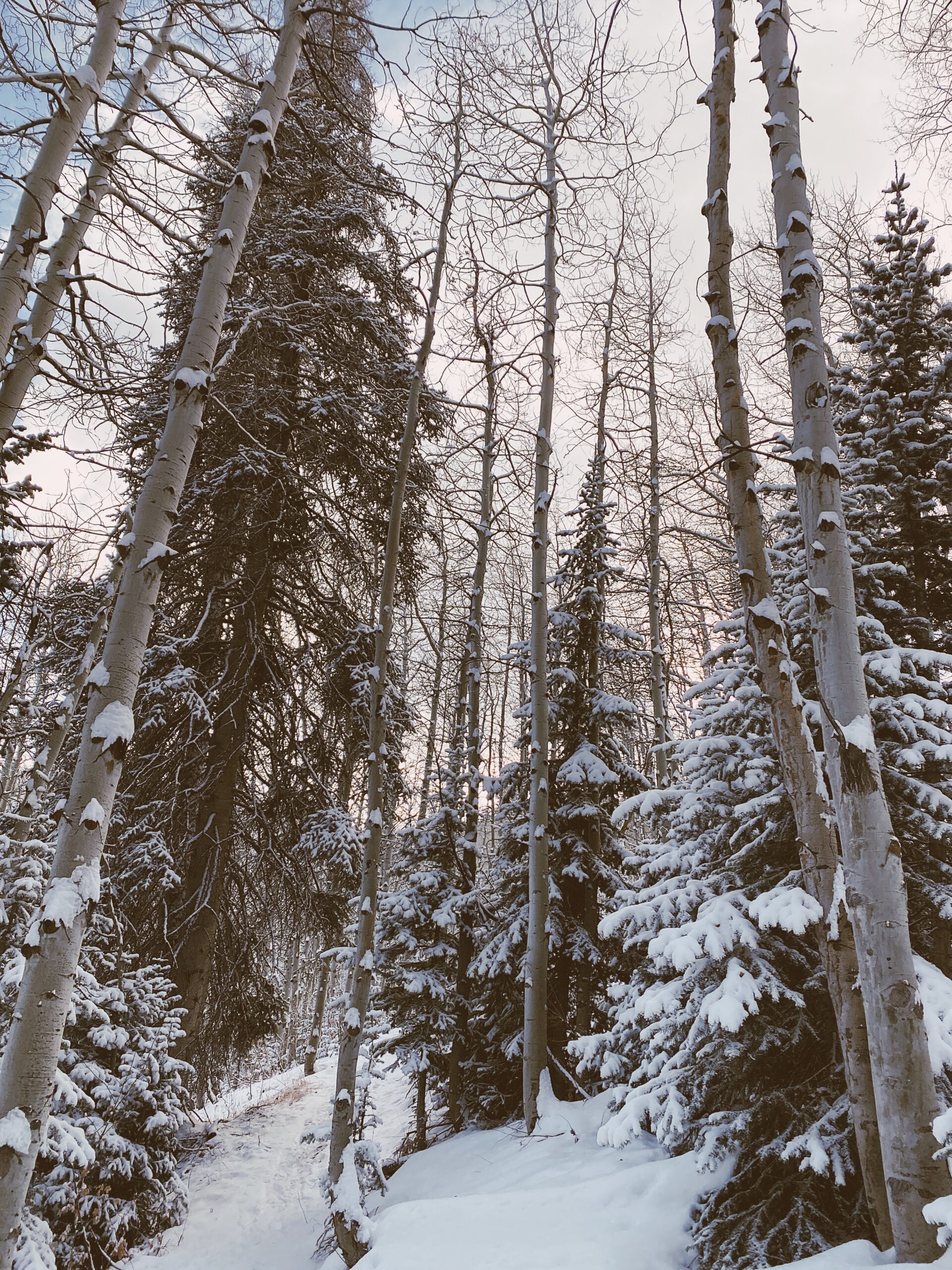 Winter Trip to Park City, Utah | audrey madison stowe