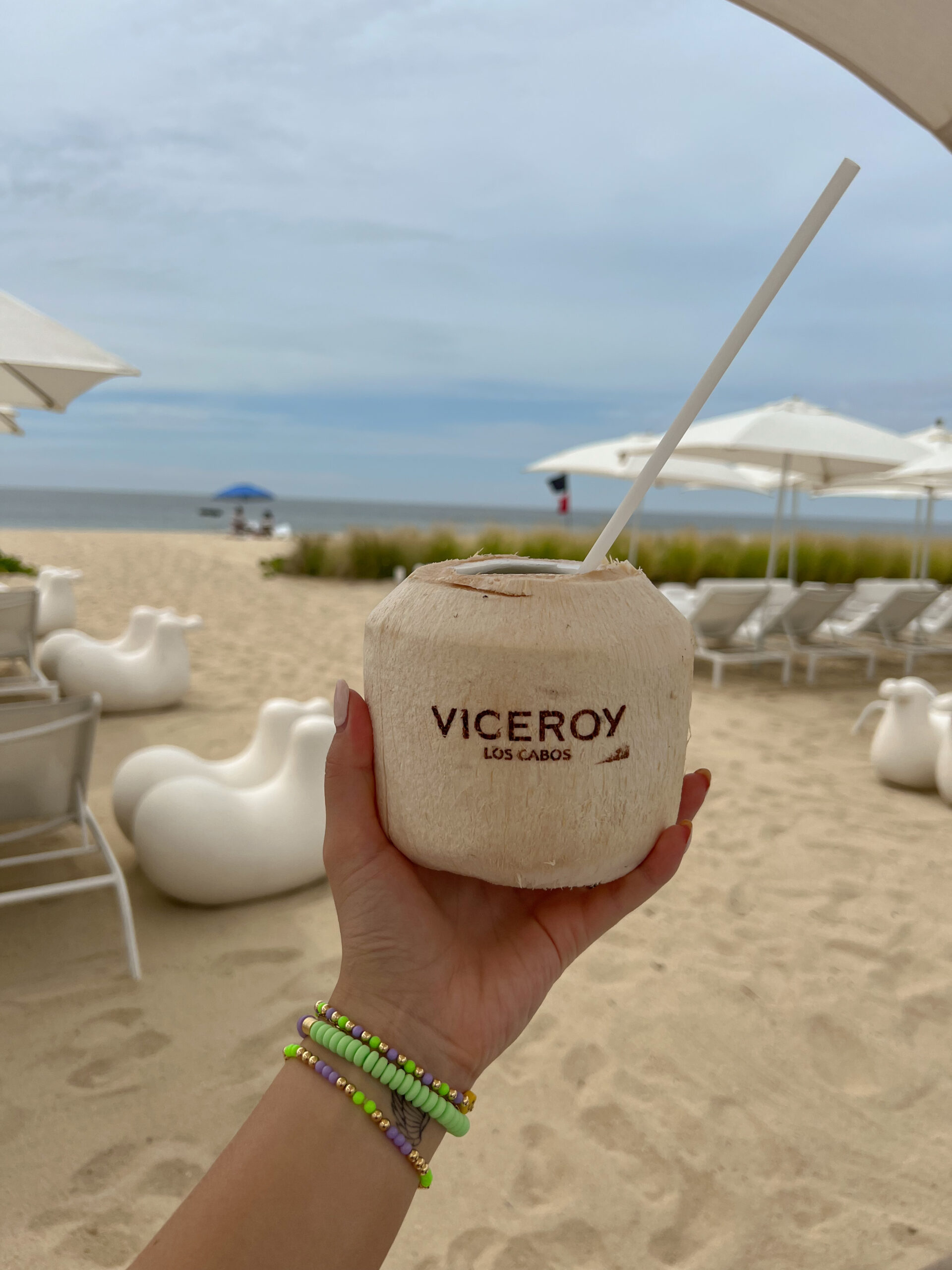 The Viceroy Los Cabos